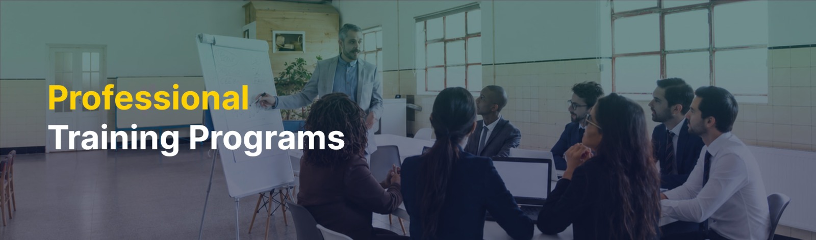 Professional Corporate Development Training